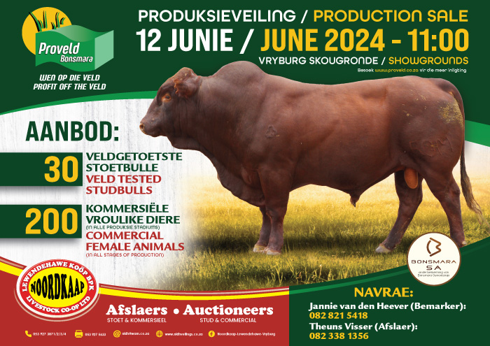 Auction / Veiling 12 June 2024